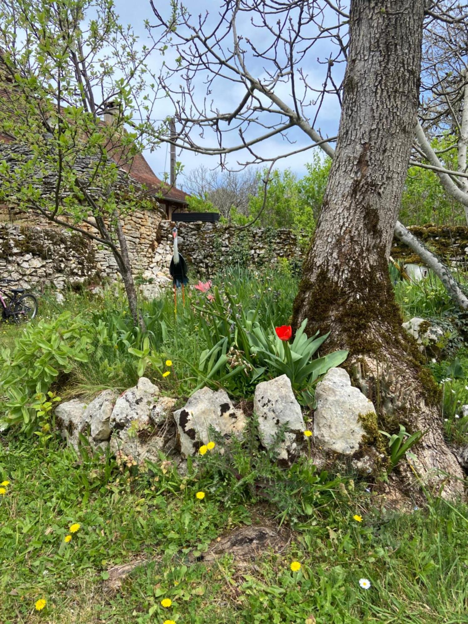Gites Sur Le Causse De St Chels, Charme Sport Et Detente Saint-Chels Exterior photo