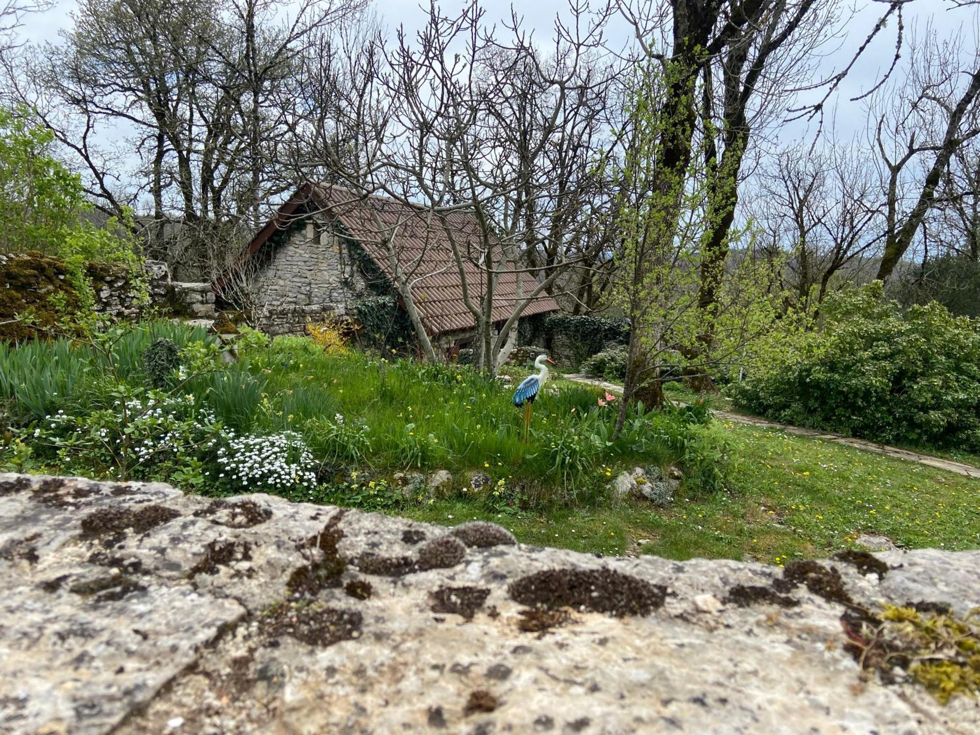 Gites Sur Le Causse De St Chels, Charme Sport Et Detente Saint-Chels Exterior photo